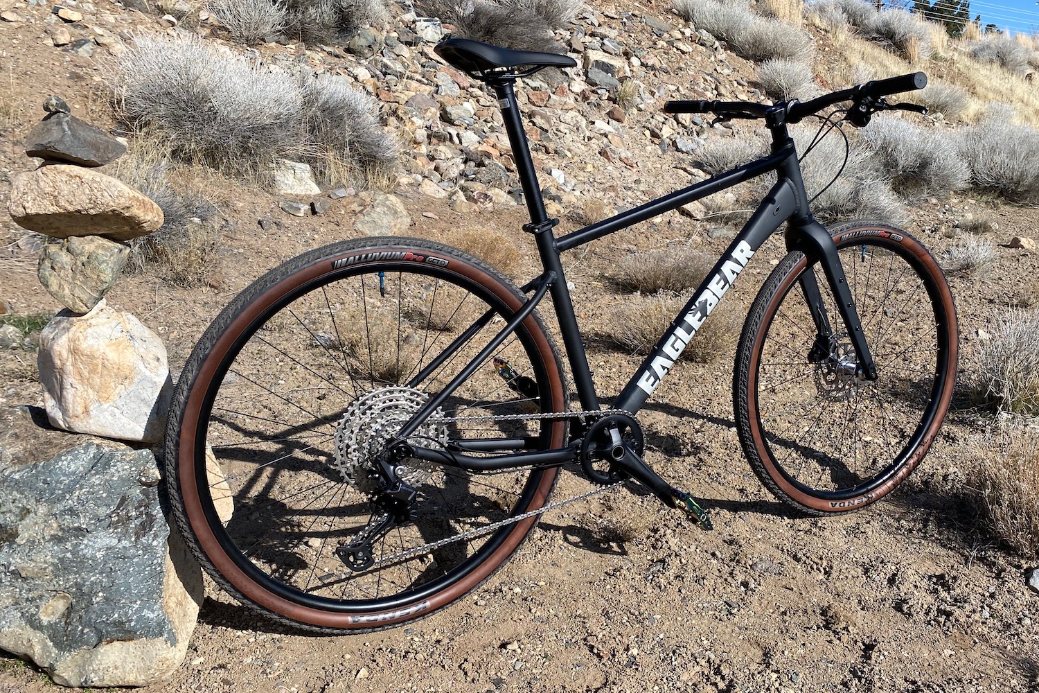 Side profile of the Eaglebear Black Everyday bike
