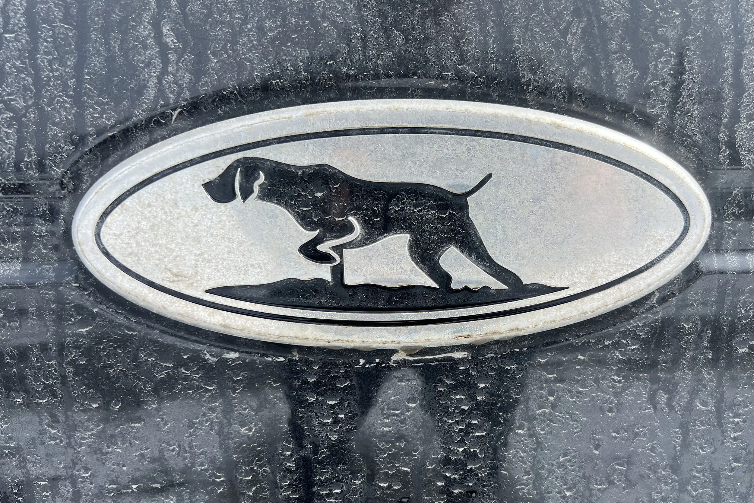 Truck emblem with pointer dog logo