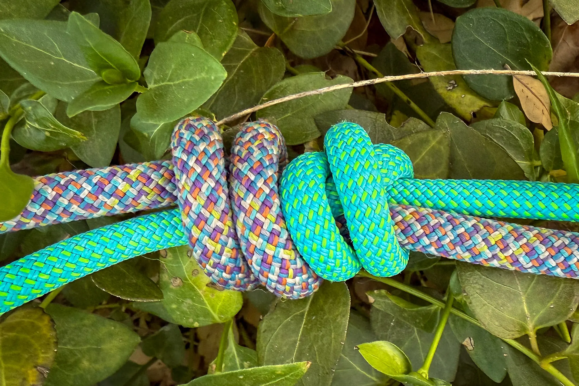 Edelrid Siskin 8.6 and Edelrid Boa Eco climbing ropes tied together