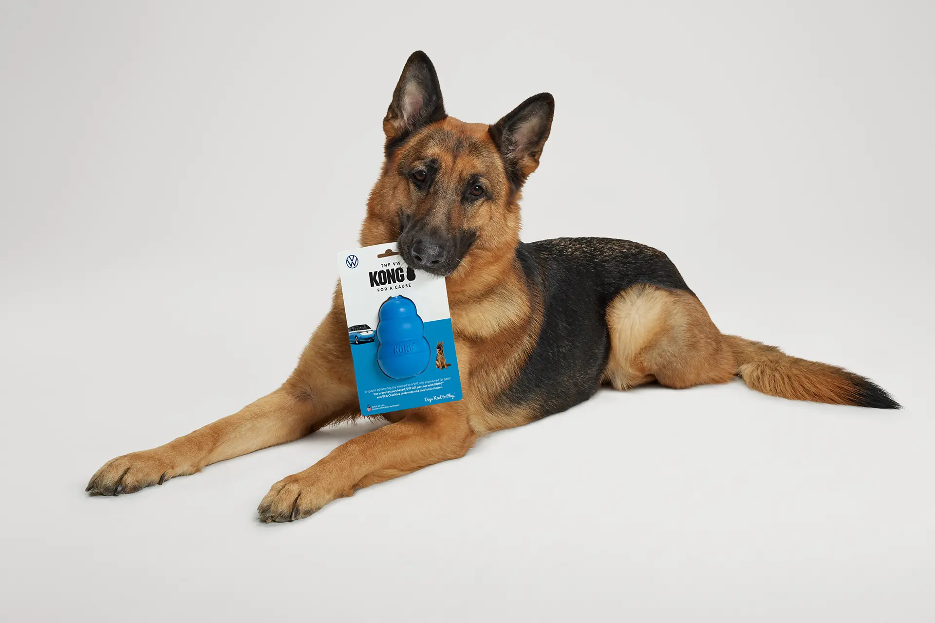 Volkswagen Kong dog toy