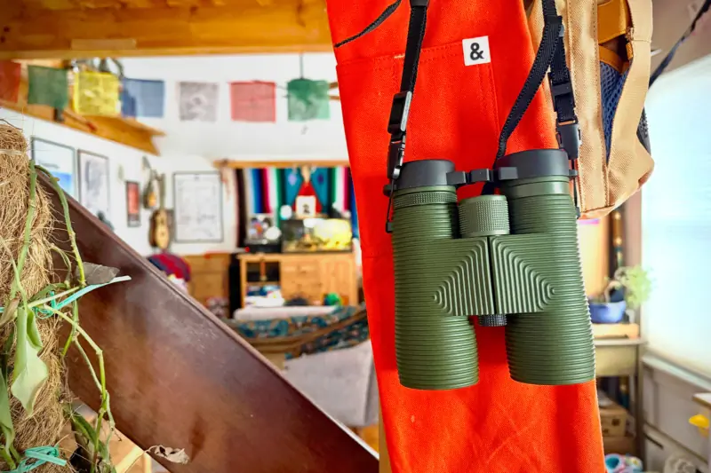 Great Binoculars, Value Price: Nocs Provision Pro Issue 8×42 Review