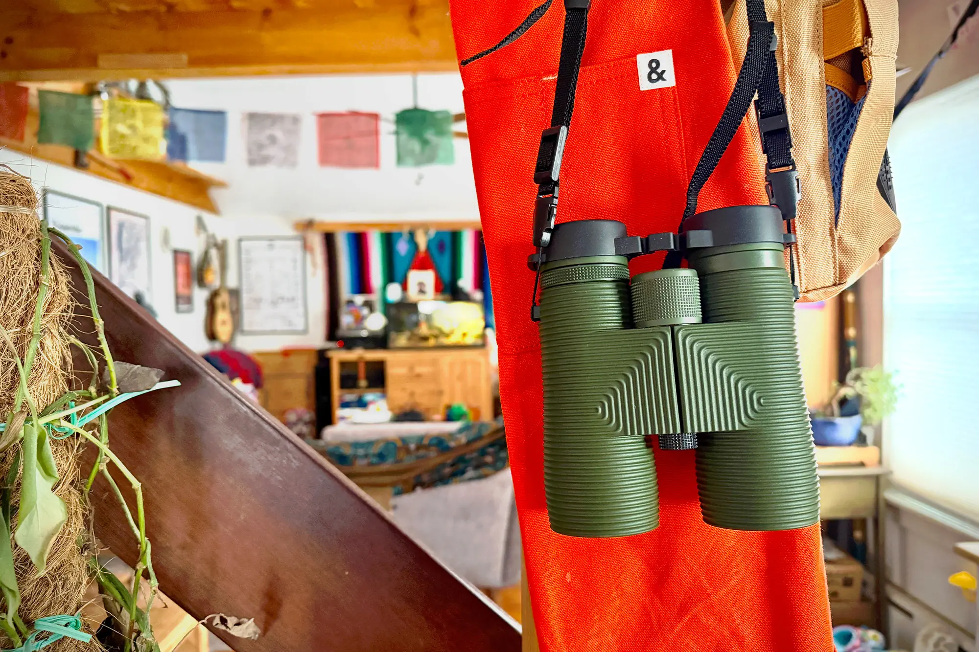 Nocs Pro Issue 8x42 hanging from a strap indoors