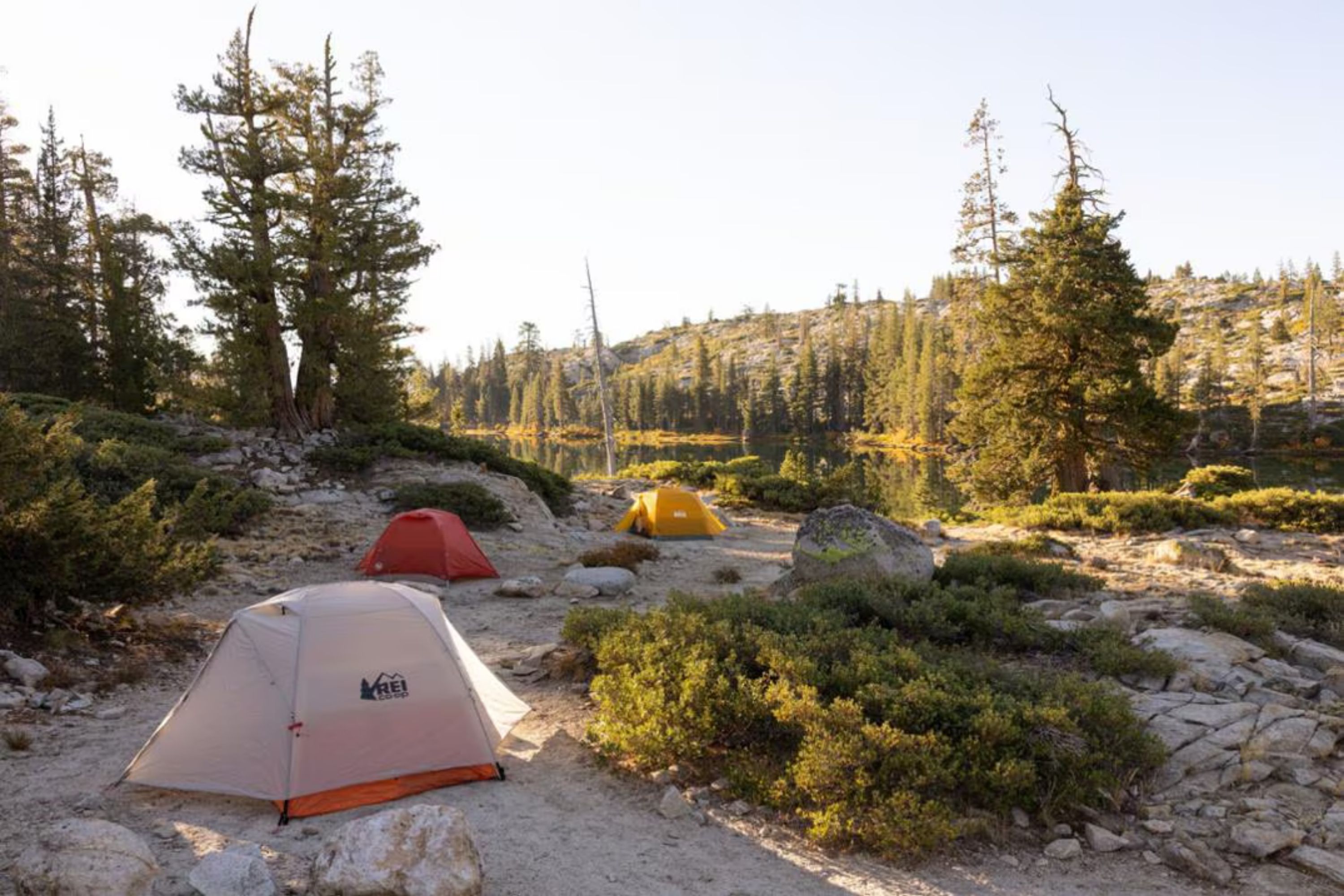 REI Co-op Half Dome Tents