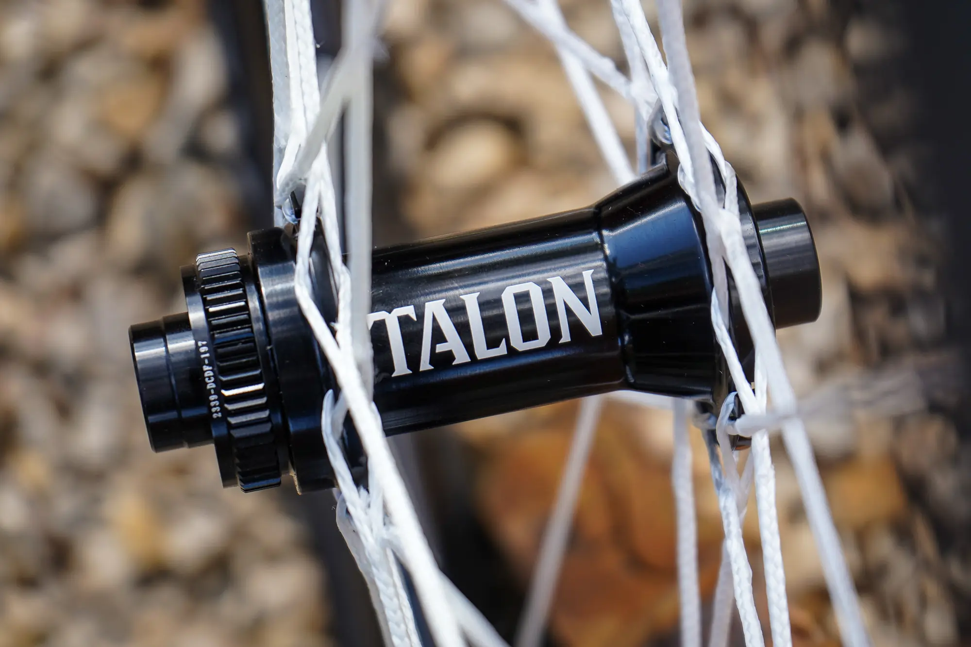 Berd Spokes Talon hub