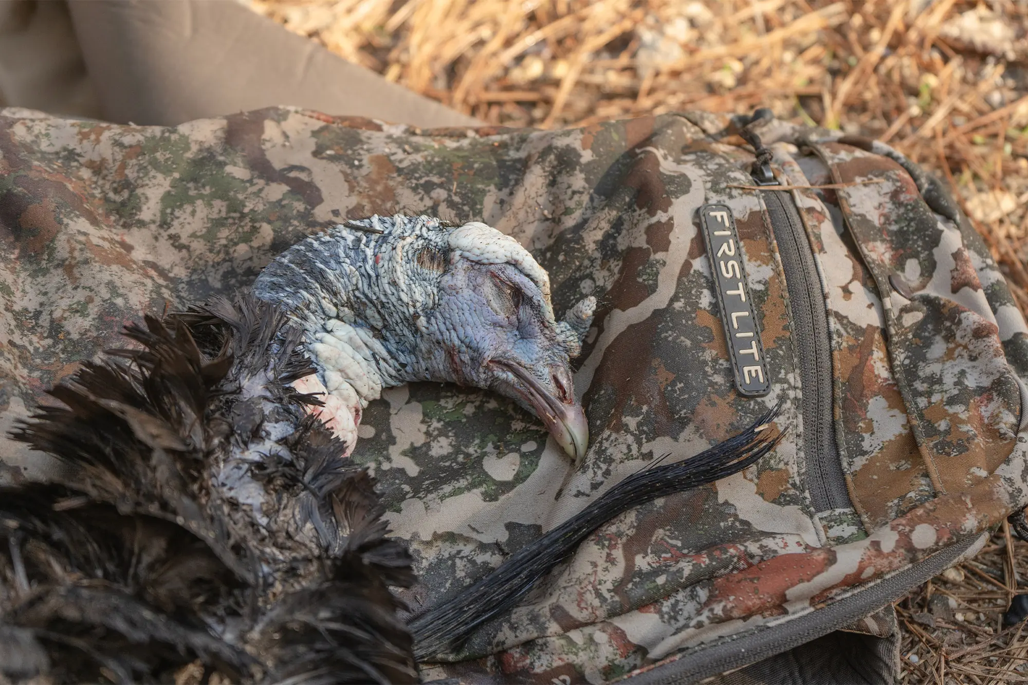 First Lite Treeline Turkey Vest after a successful hunt