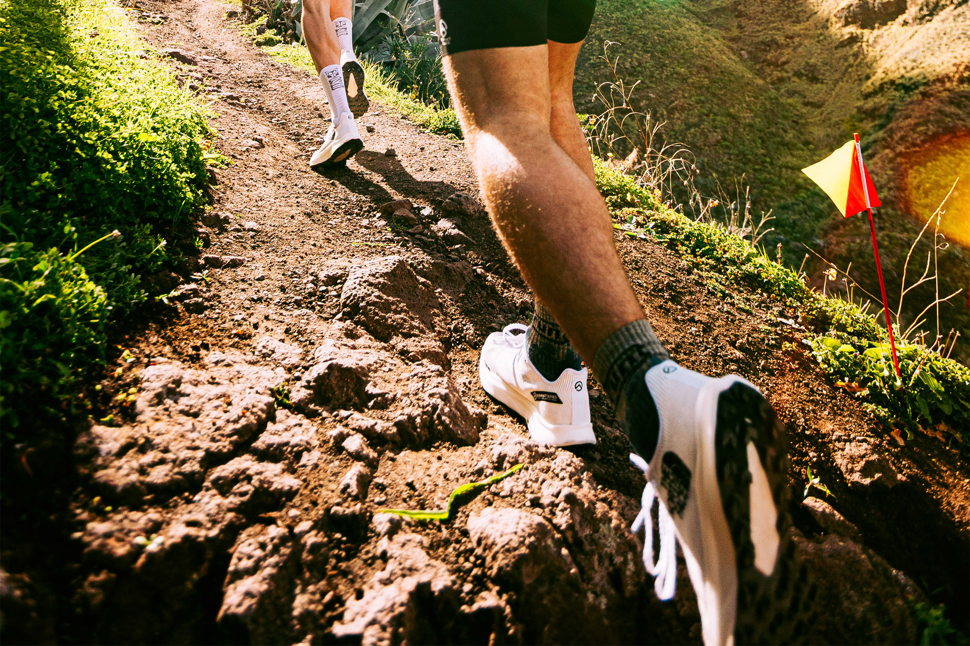 The North Face Summit Vectiv Sky 2 – Charging the Climb