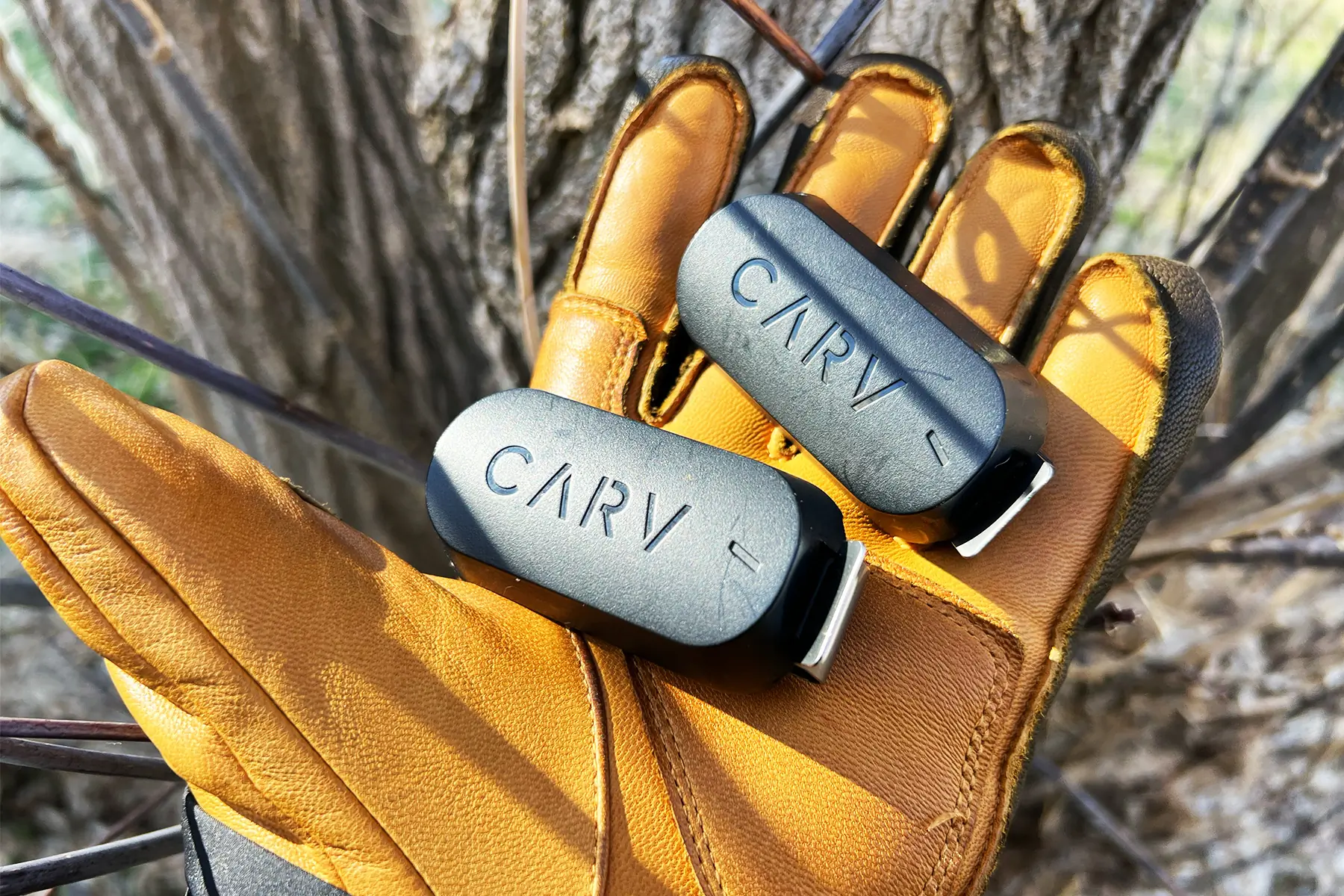 Carv 2 digital ski coach