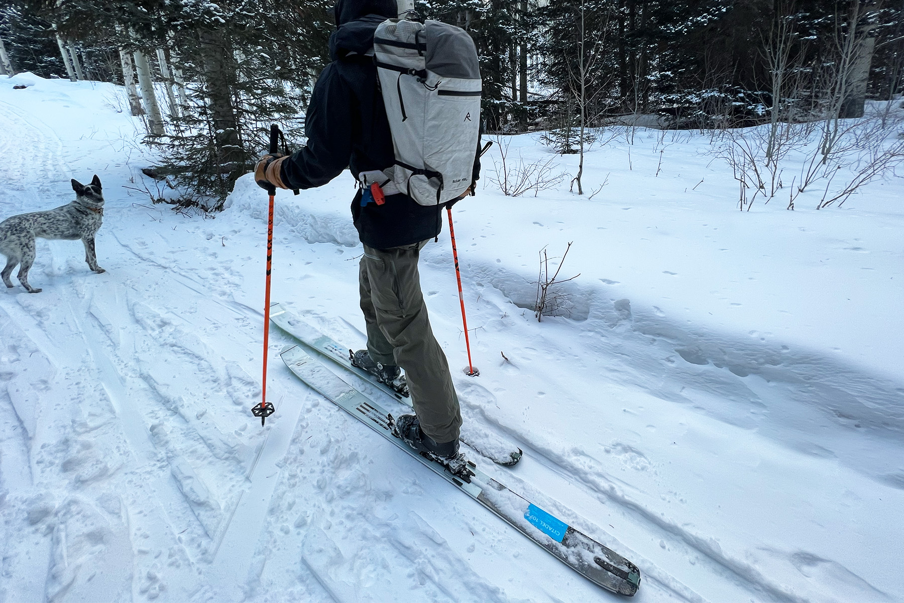 Renoun Citadel 107 powder ski