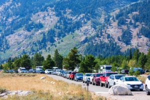 Cars,Of,National,Park,Visitors,Parked,Bumper,To,Bumper,Along