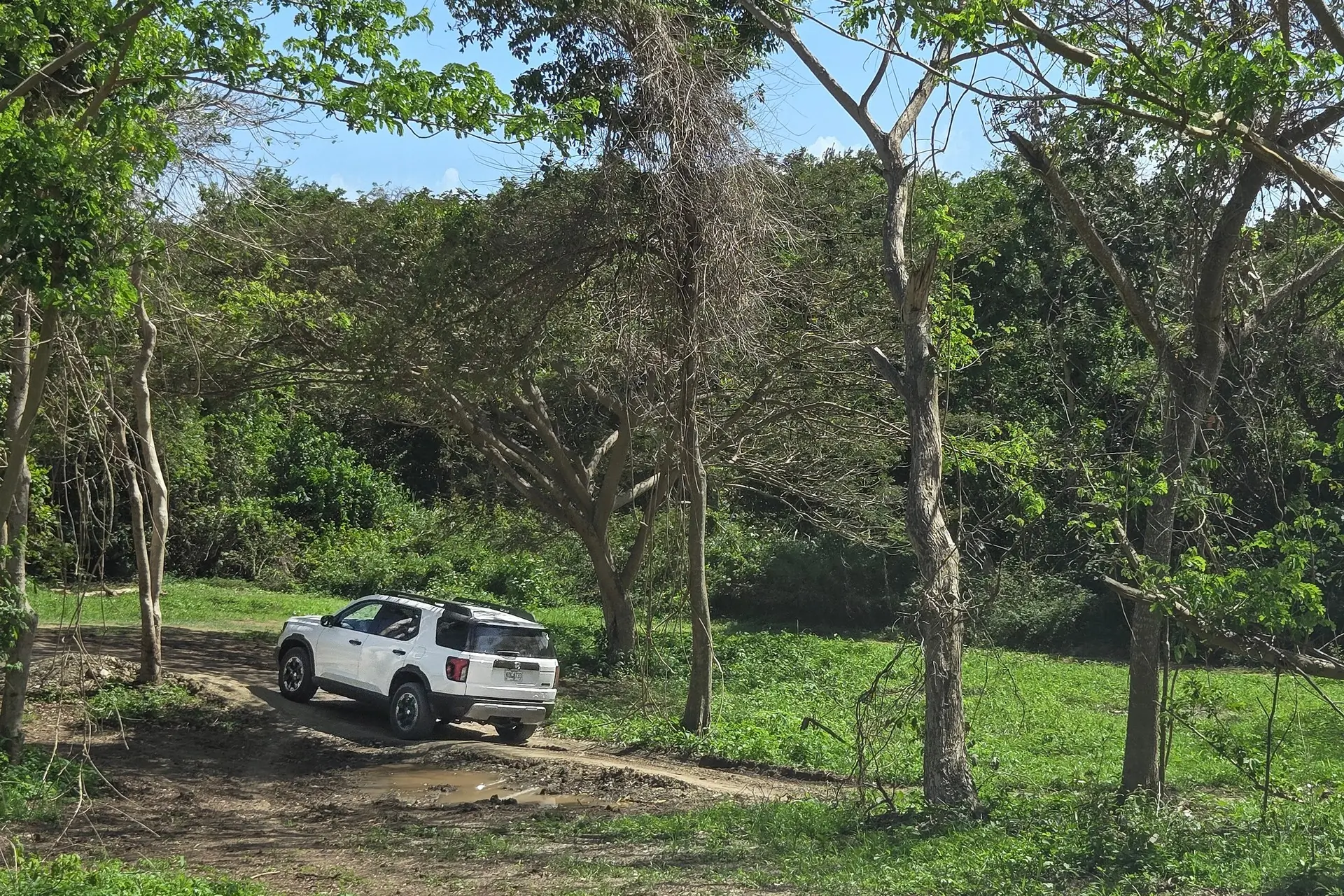 2026 Honda Passport Trailsport