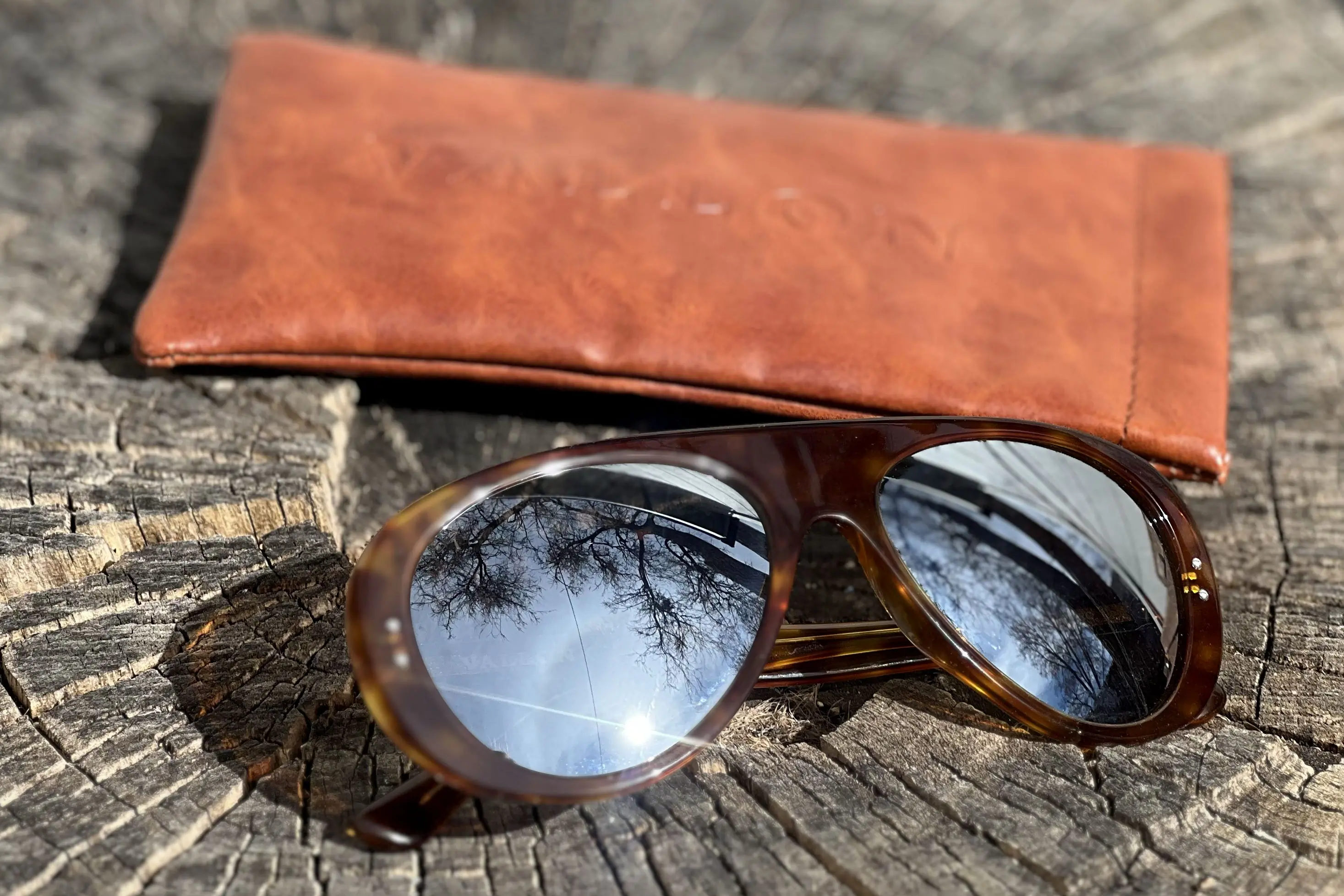 Vallon Ski Aviators and case