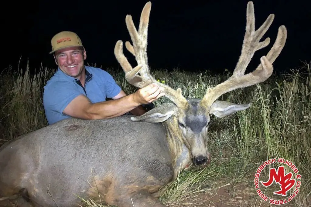 Karl Studer, idaho poaching case