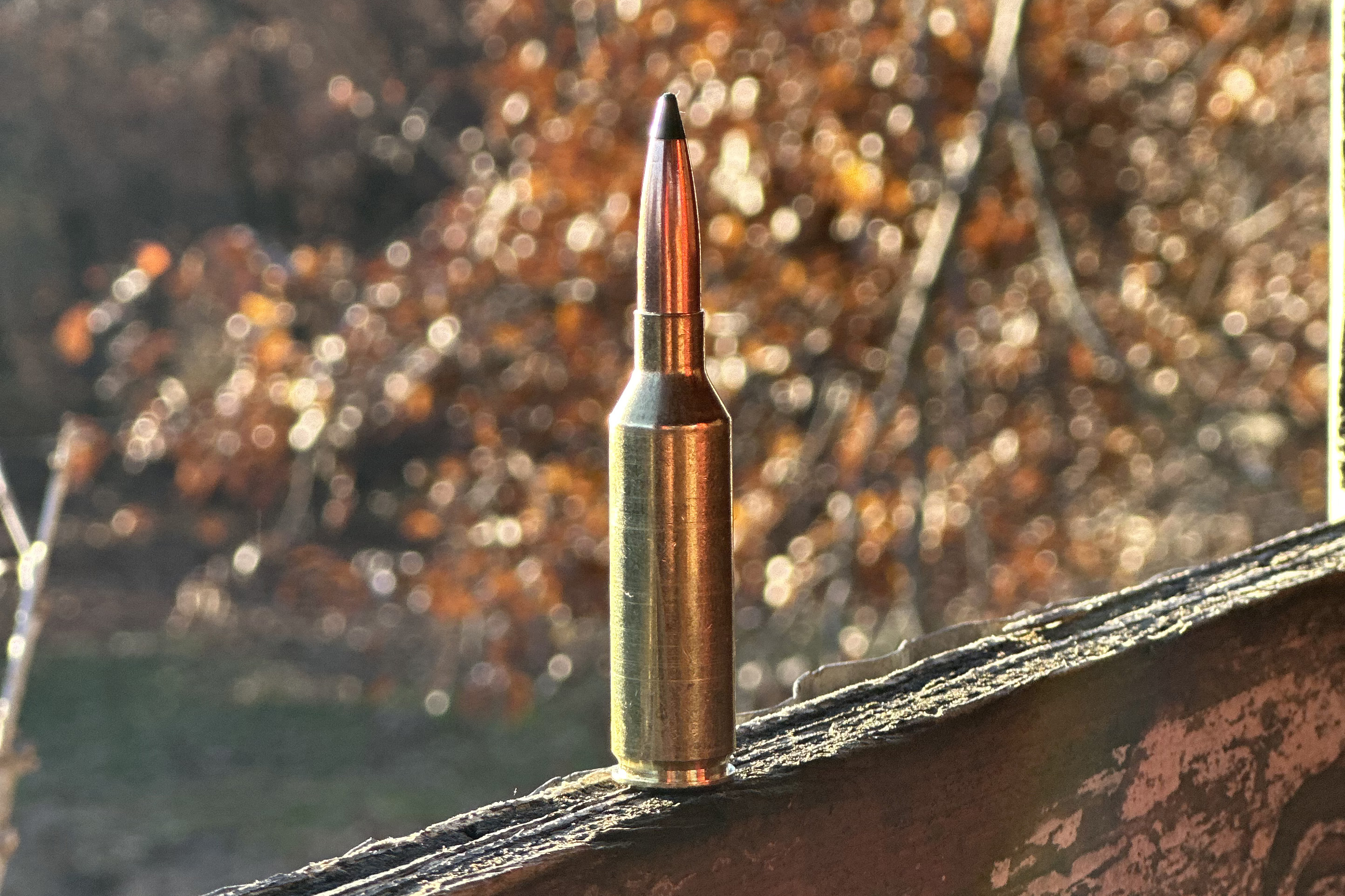 Barnes Harvest Collection