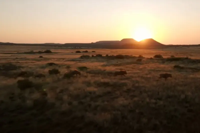 Scorching Survival: ‘Alone’ Season 12 Heads to the Desert