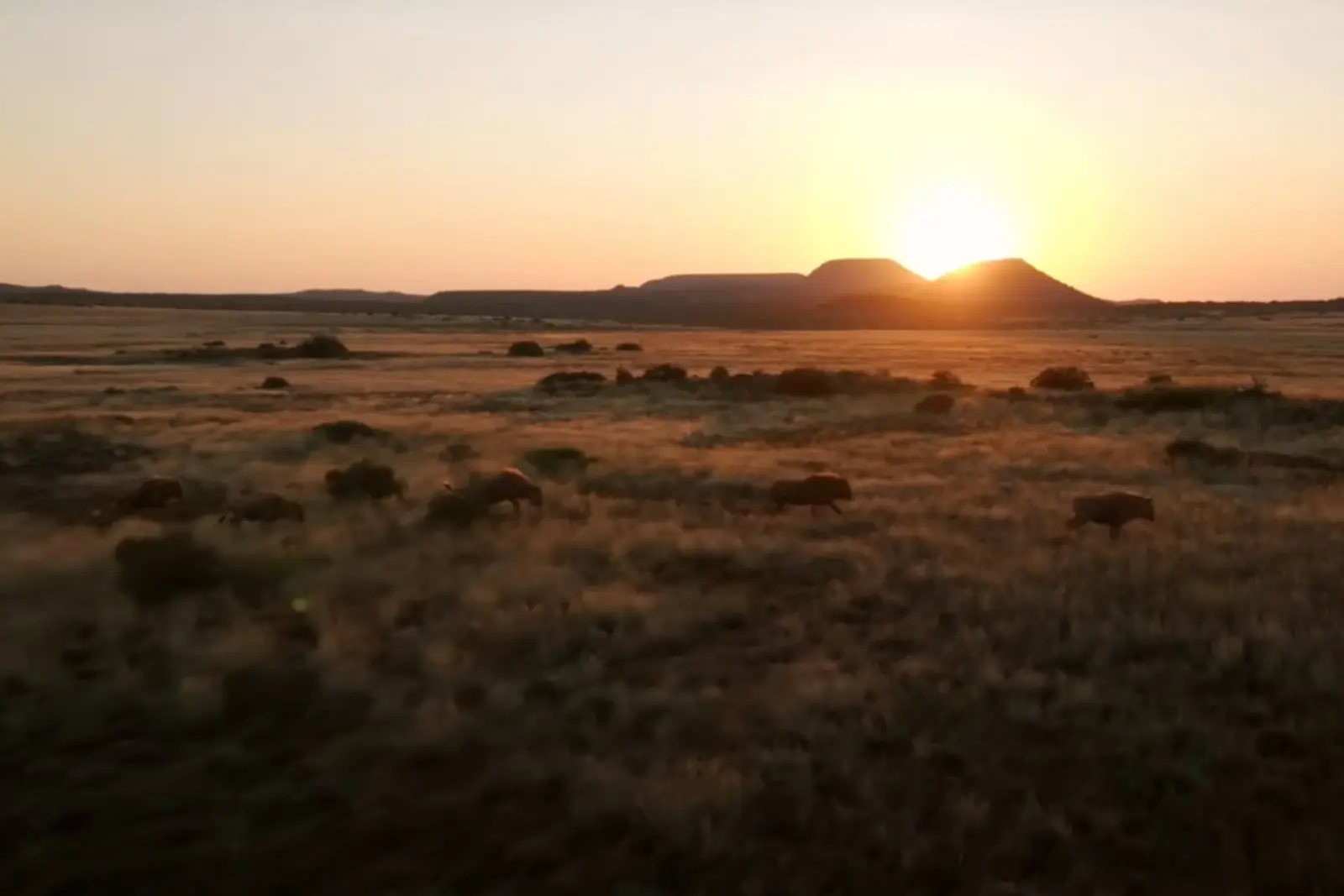 Alone Season 12 Screenshot