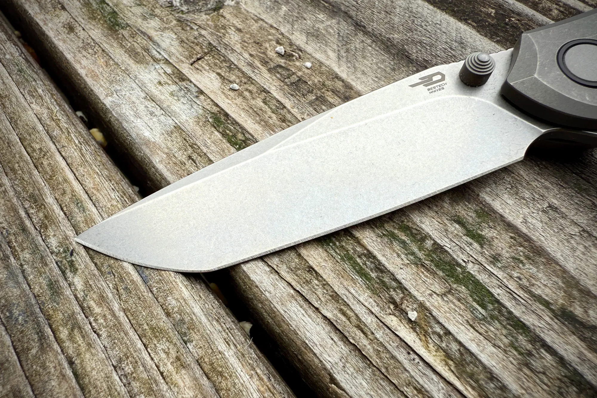 Bestech Knives Constellation knife blade