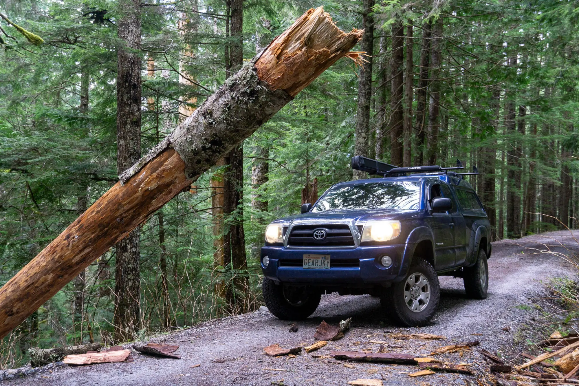 A Toyota Tacoma comes to a downed tree across a forest road