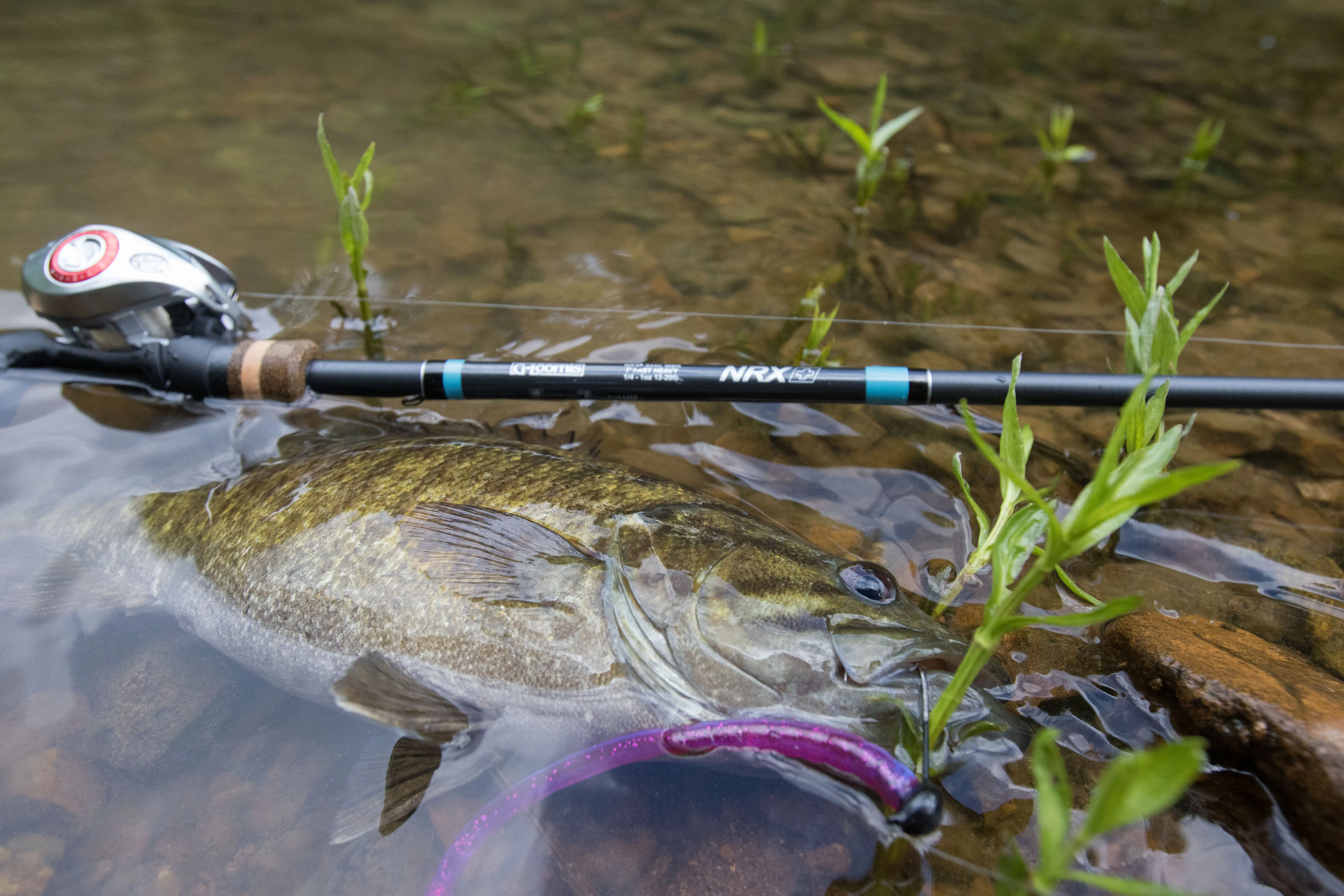The G-Loomis NRX+ bass fishing rod next to a bass.