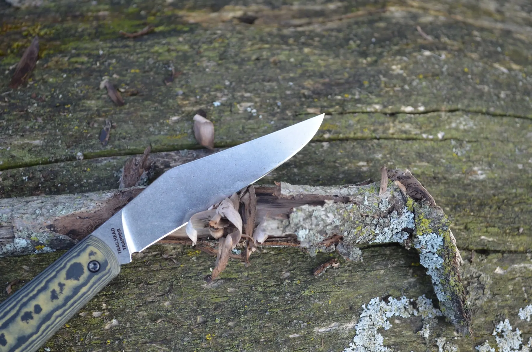Trailhead Trapper carving a stick