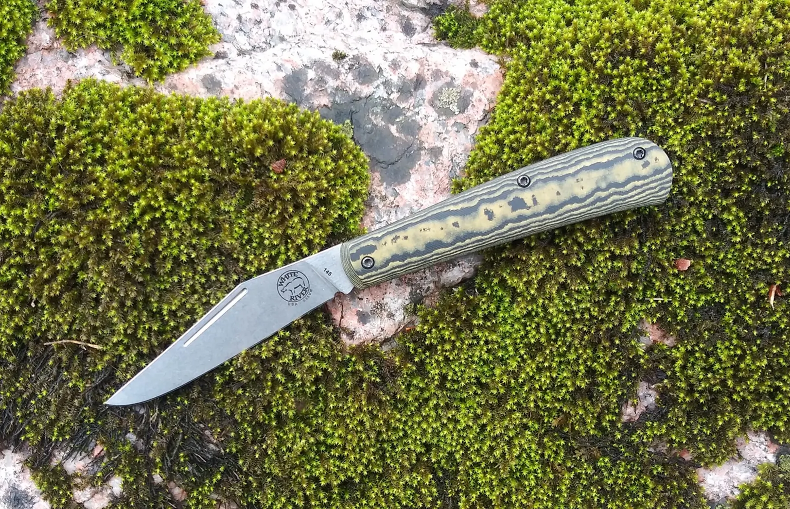 Trailhead Trapper resting on a mossy rock