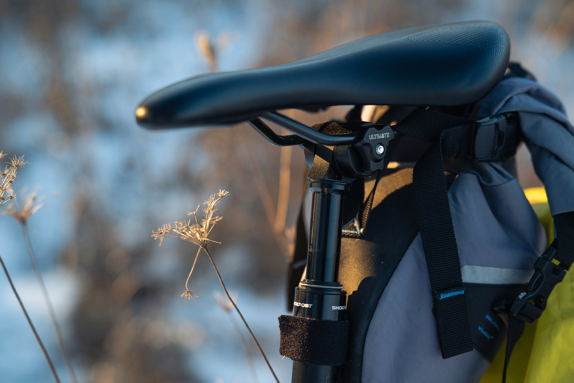 Vybe Suspension Seatpost in a winter setting with dried flower stalks