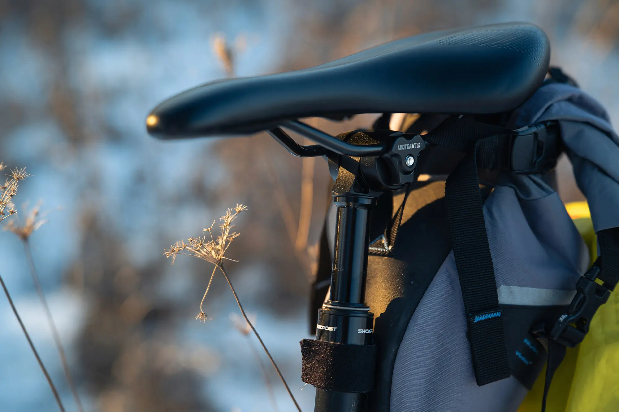 Vybe Suspension Seatpost in a winter setting with dried flower stalks