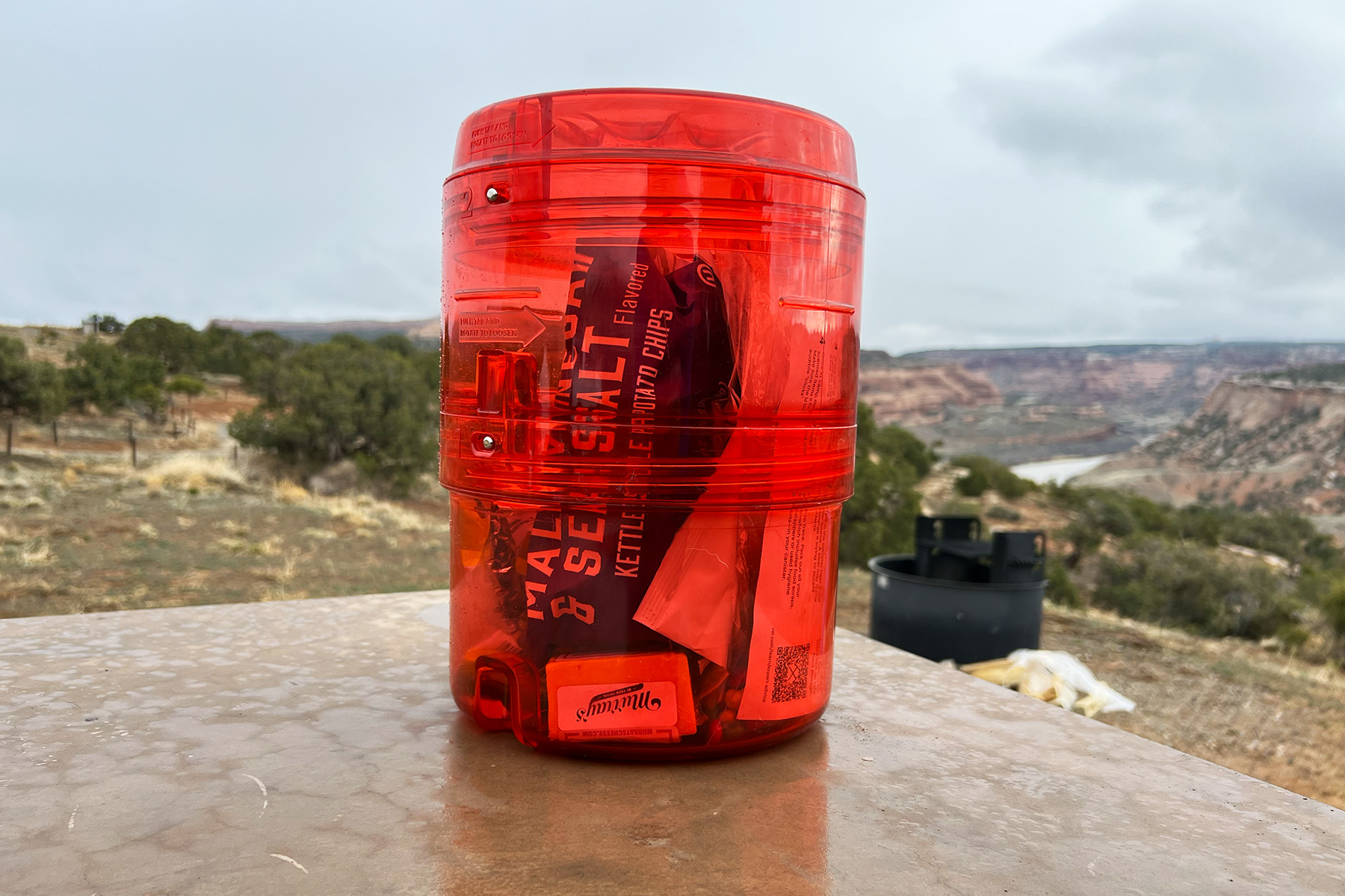 REI Co-op Traverse Modular Bear Canister