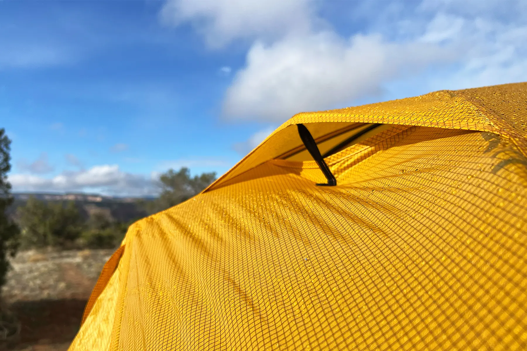 Half Dome 2 Plus 45th Anniversary Edition Tent