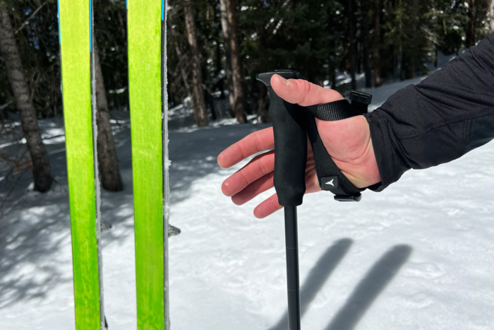 Atomic Backland Polesv