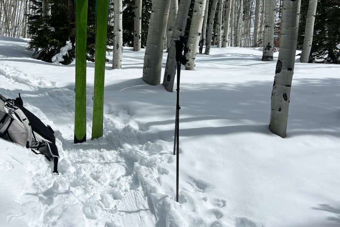 Atomic Backland Poles
