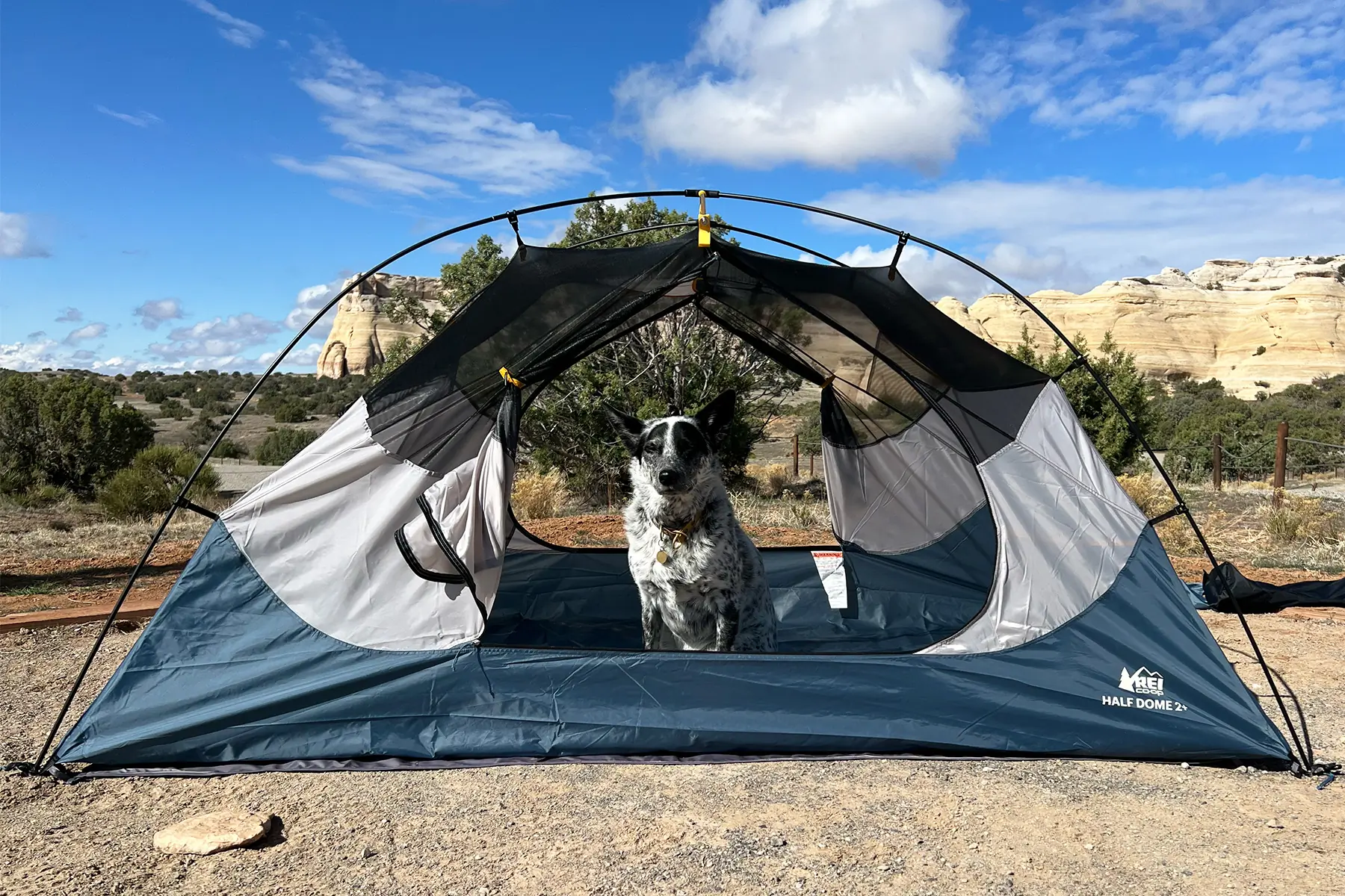 Half Dome 2 Plus 45th Anniversary Edition Tent