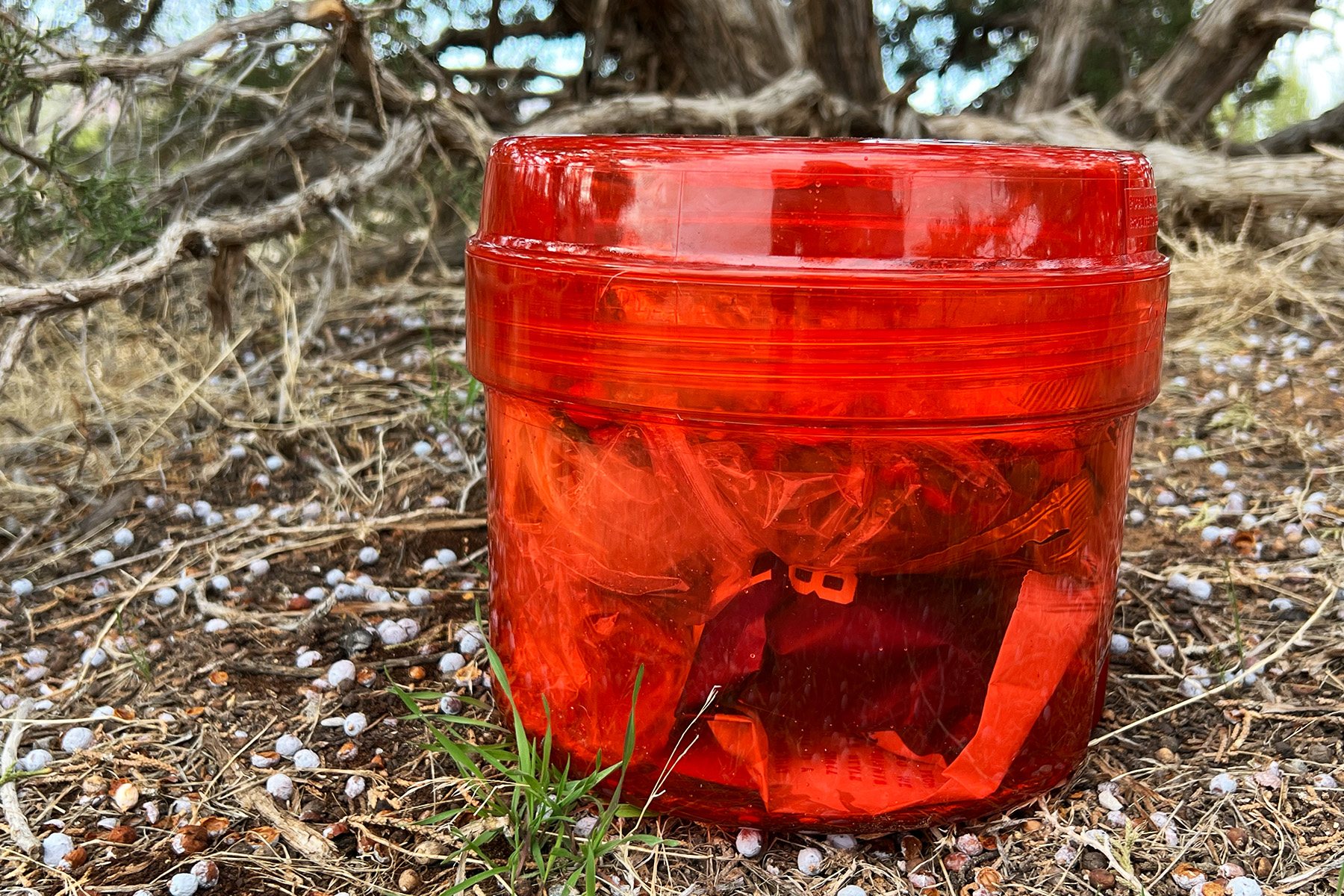 REI Co-op Traverse Modular Bear Canister