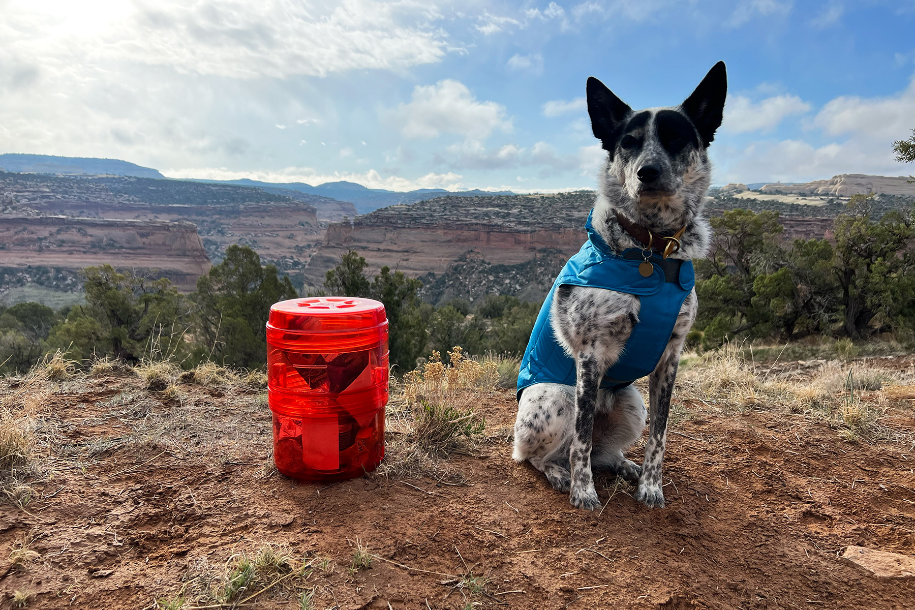 REI Co-op Traverse Modular Bear Canister