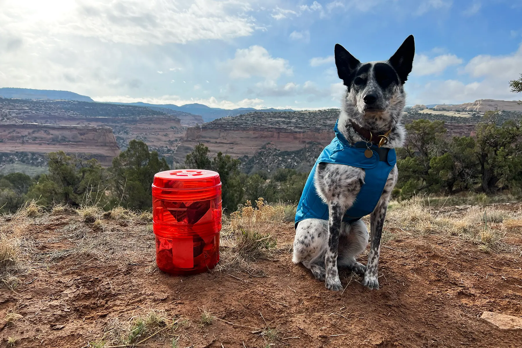 REI Co-op Traverse Modular Bear Canister