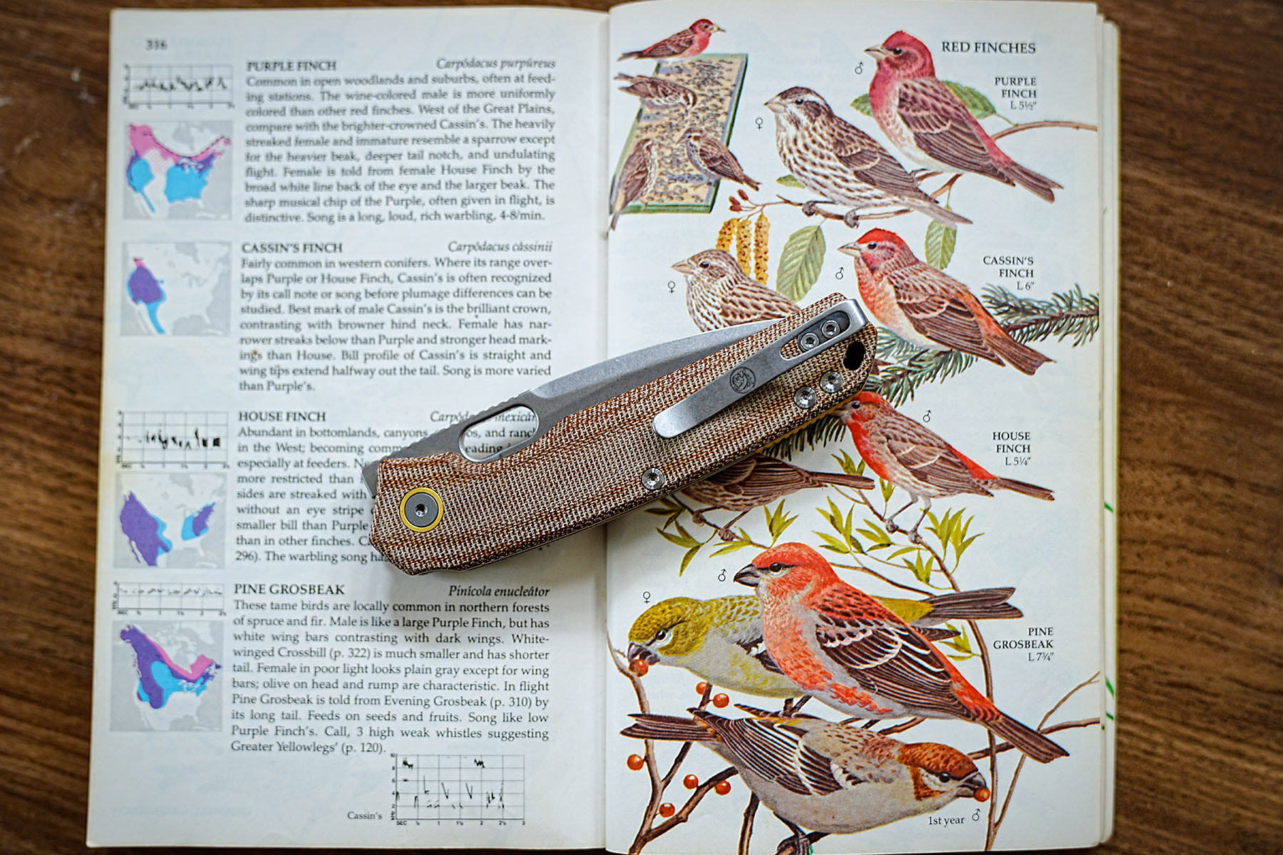 Vosteed Psyop Micarta knife placed on an illustrated bird field guide
