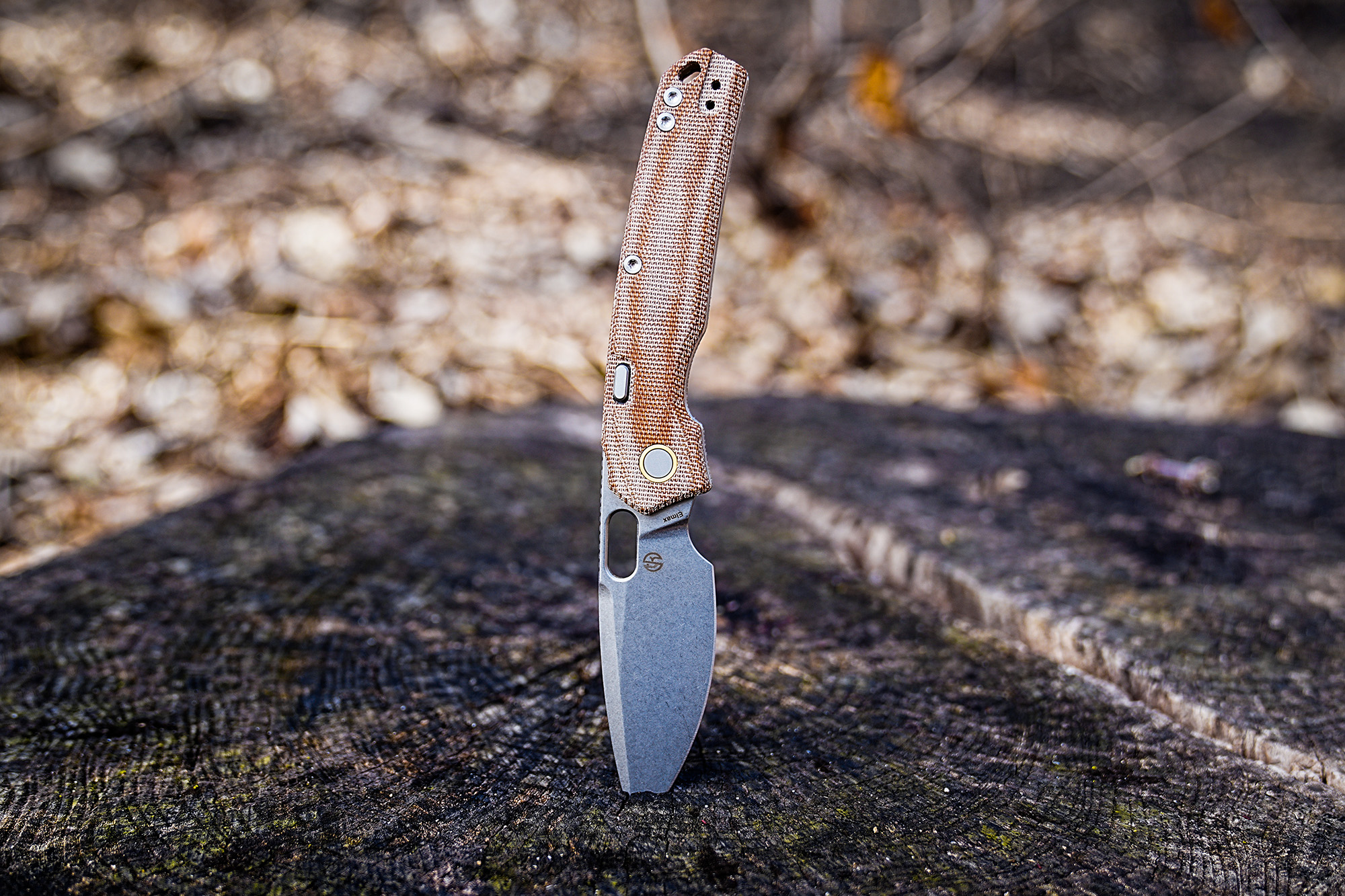 Vosteed Psyop Micarta knife standing upright on a tree stump outdoors.