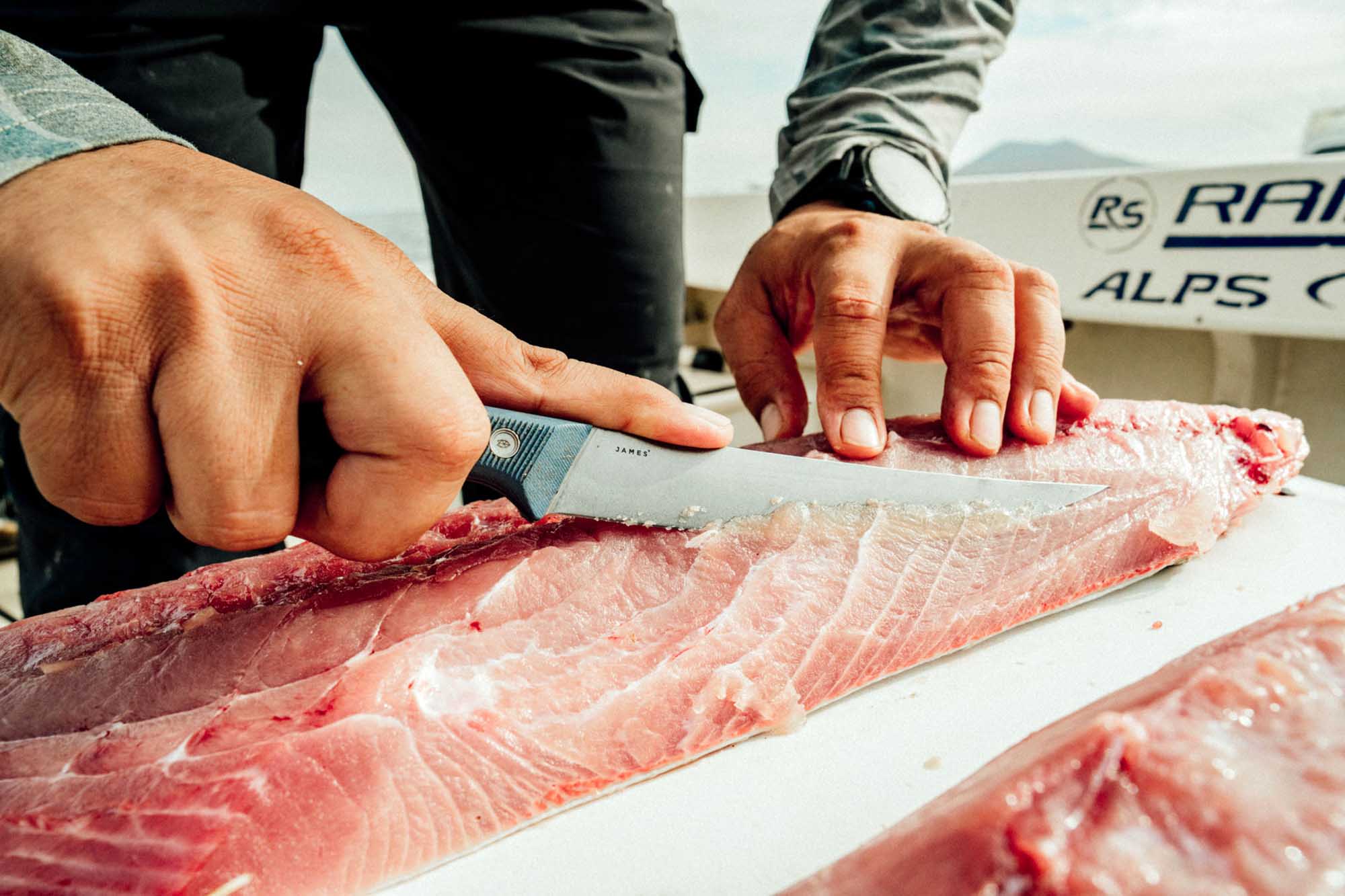 the james brand filet knife humboldt