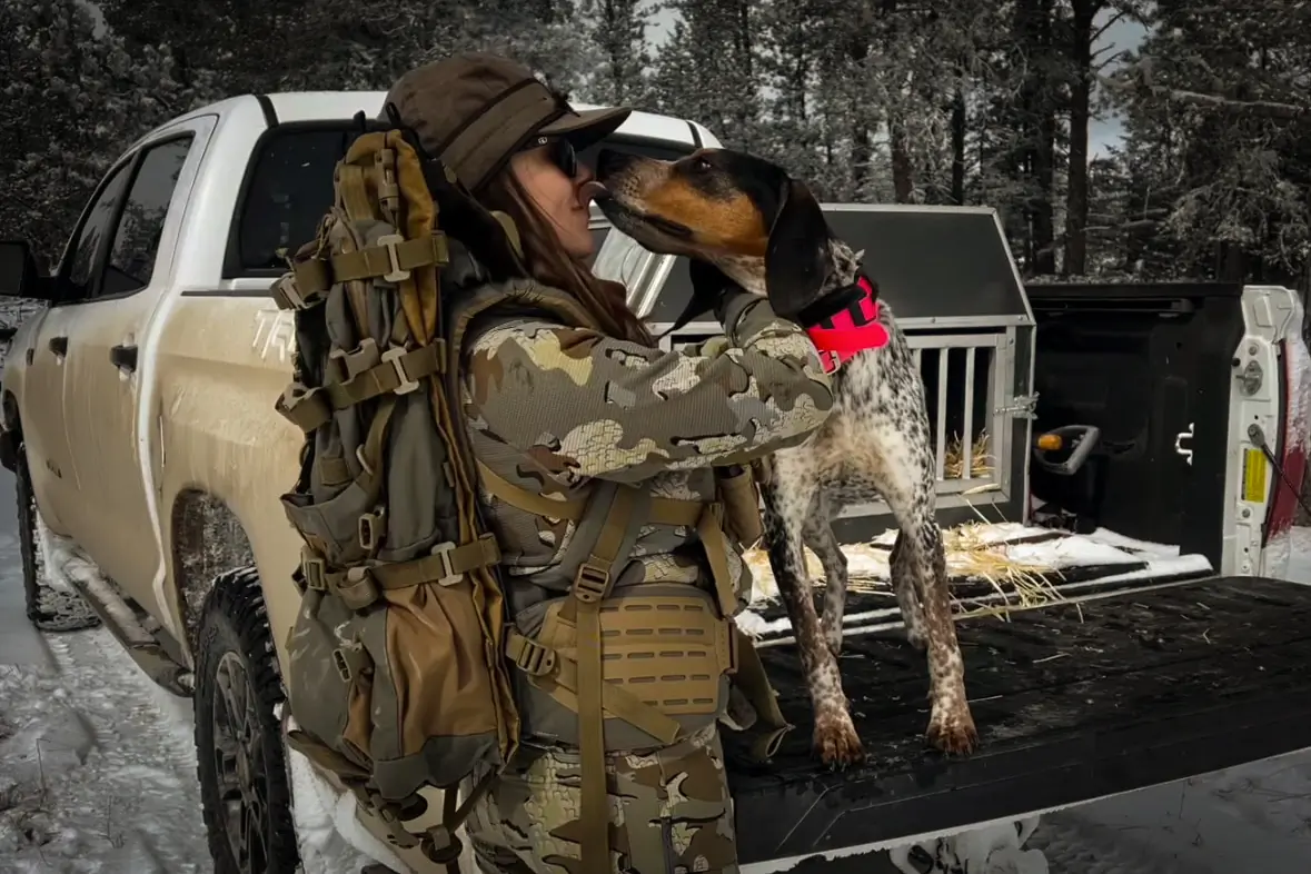 Hound hunting