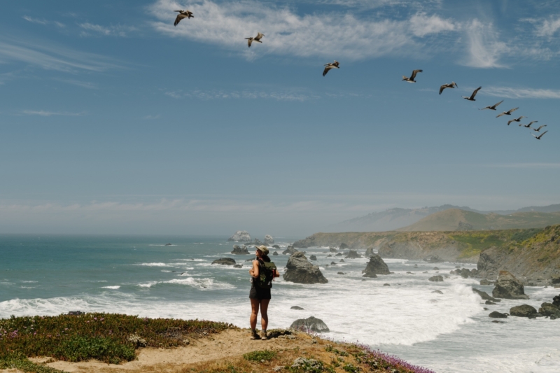 A Bigger, Better AllTrails Debuts ‘Peak’ Tier and 6 New Features