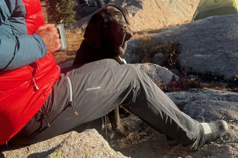 Mountaineering Softshells Beat Travel Pants at Their Own Game: Ortovox Seceda Softshell Pants Review