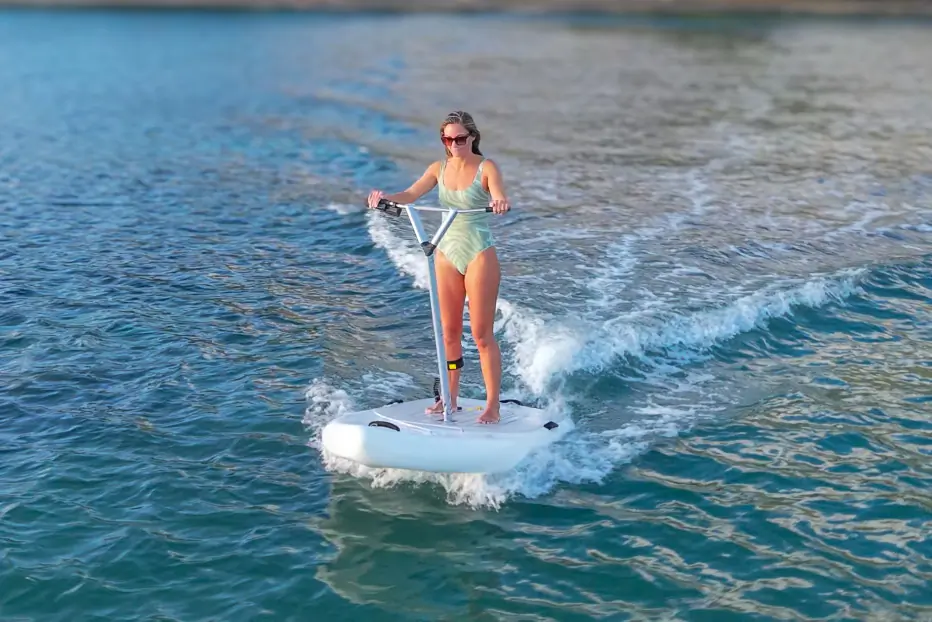 Propel Foil - EScooter mode