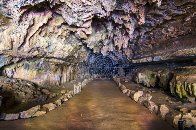 Sequoia NP Reopens Crystal Cave After 4 Years