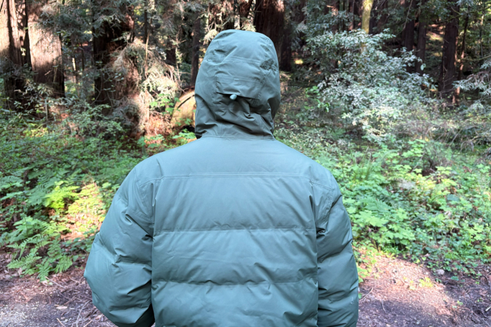 Patagonia jackson glacier parka