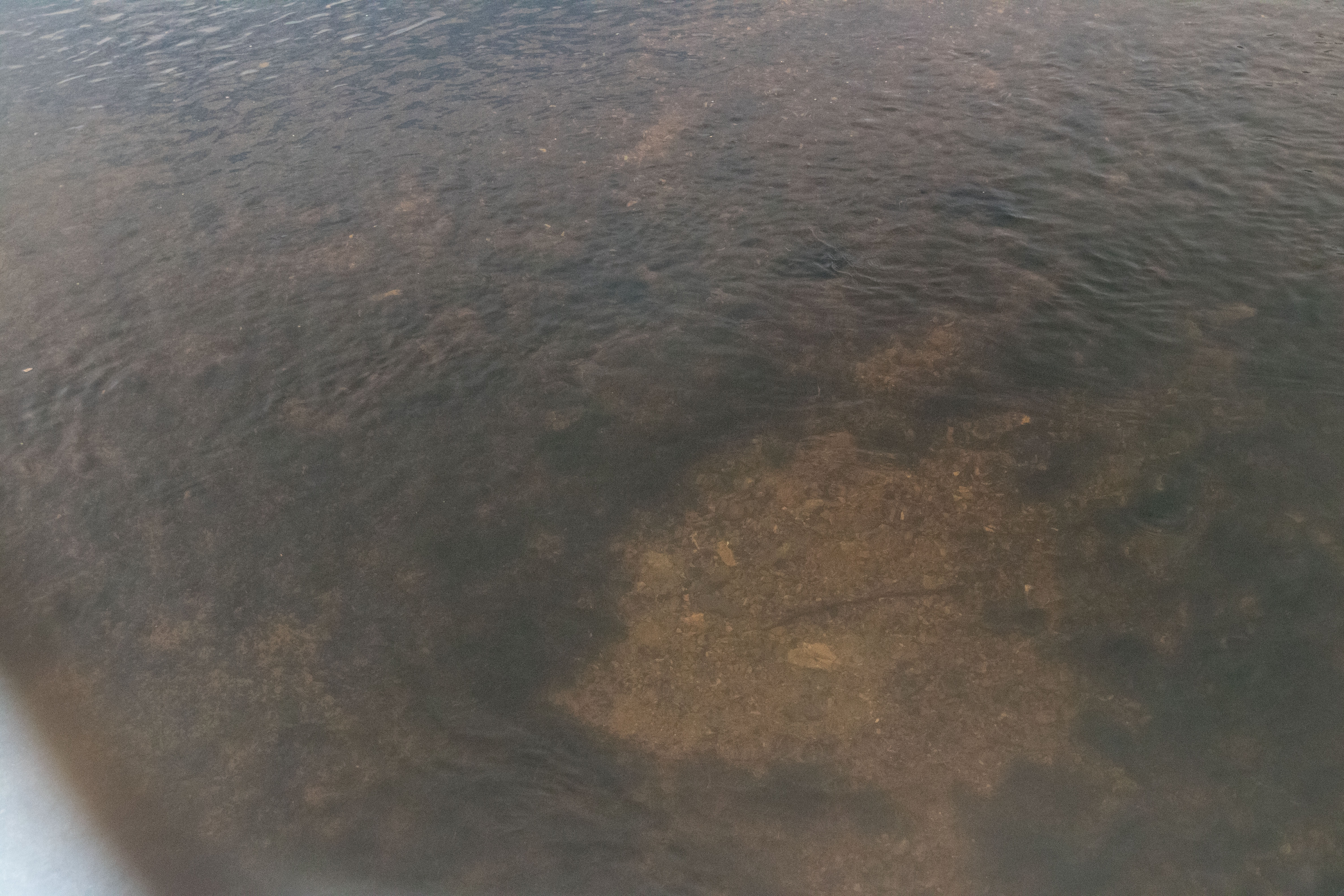 Looking at the bottom of a river with sunglasses.
