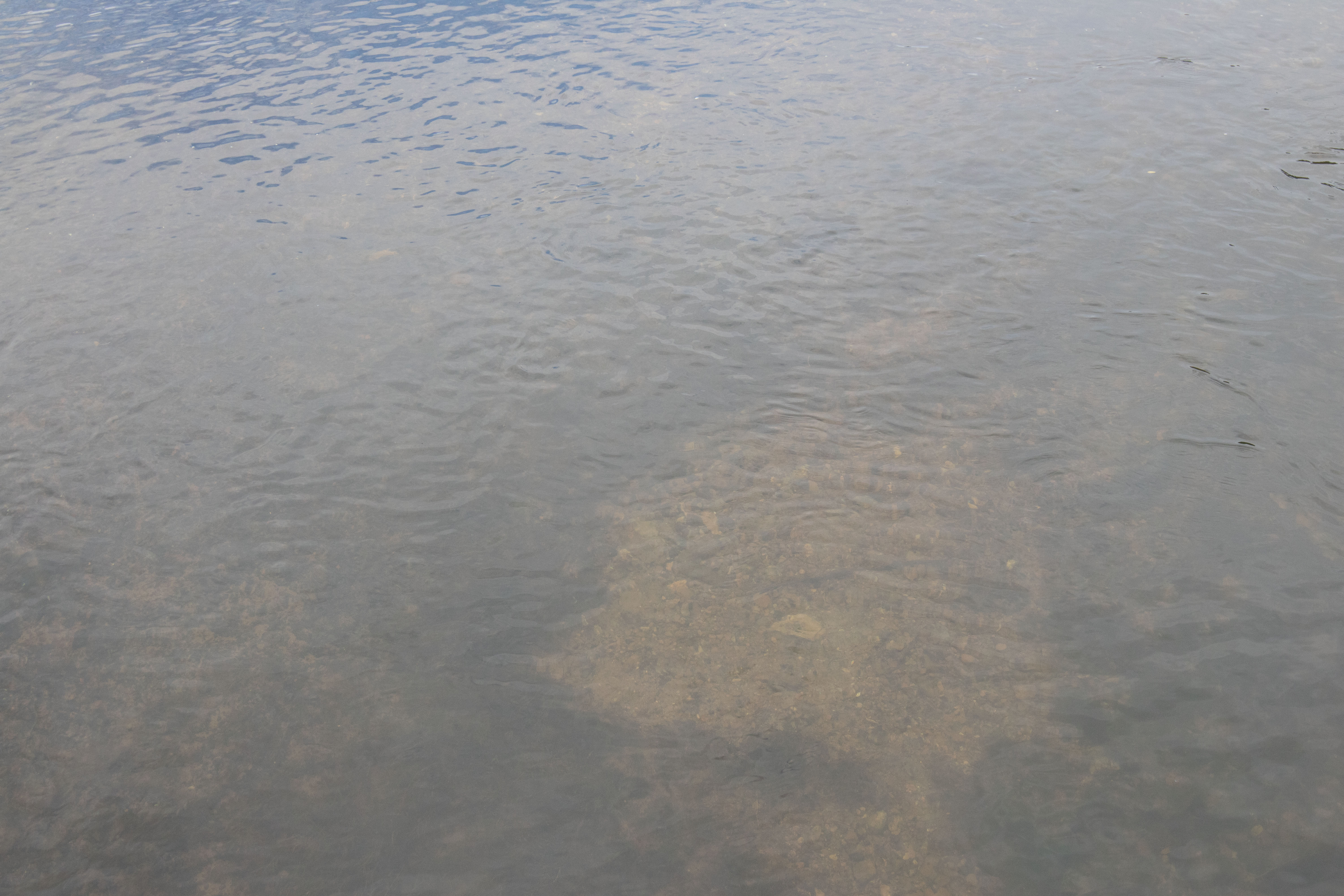 Viewing a river bottom without sunglasses