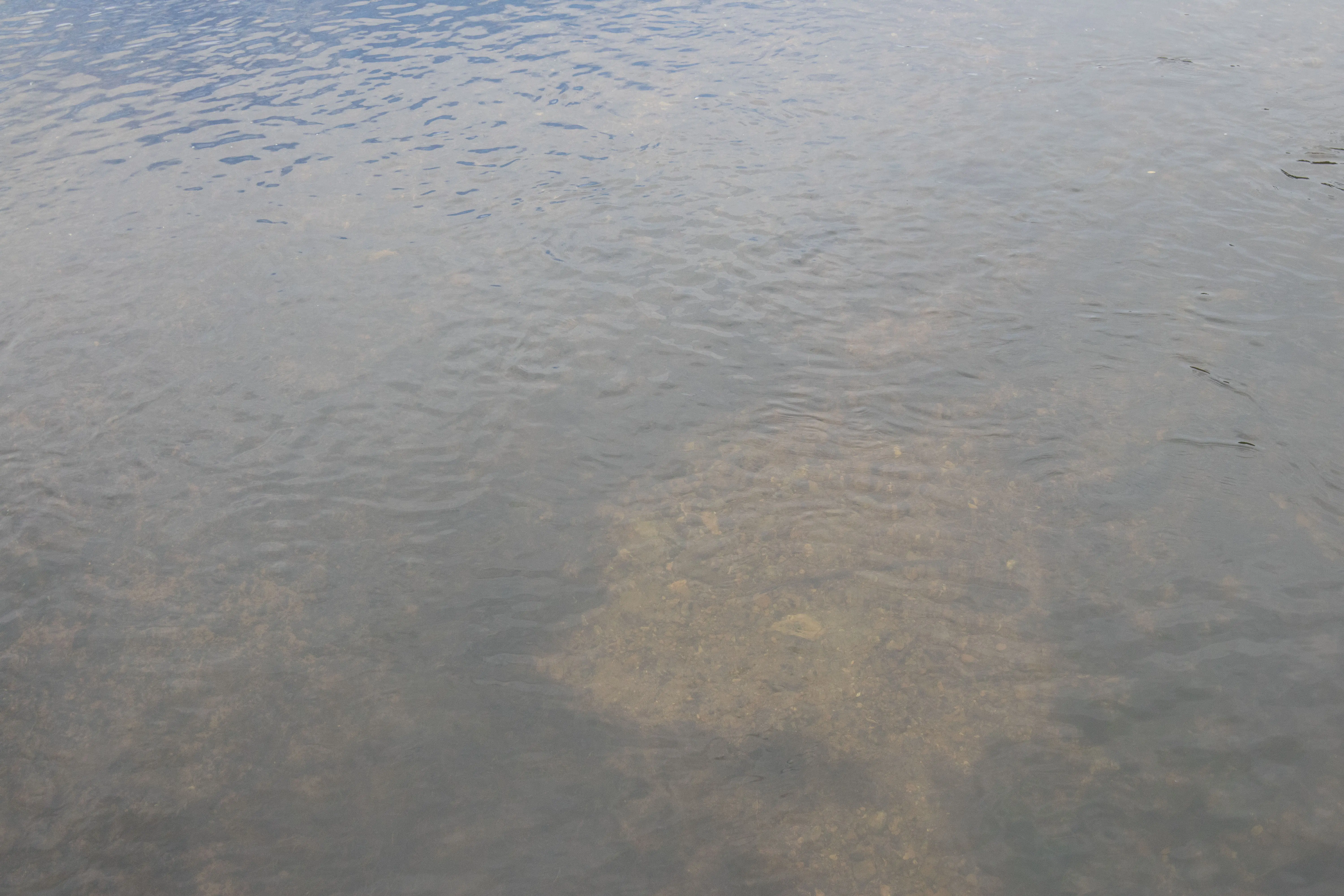 Viewing a river bottom without sunglasses