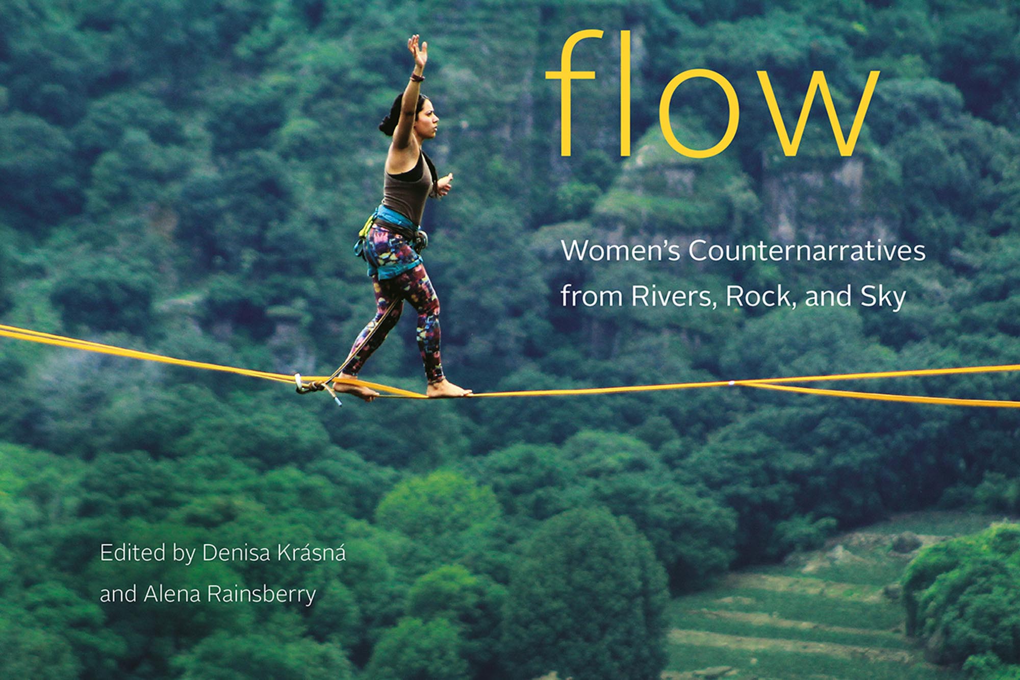 flow book cover