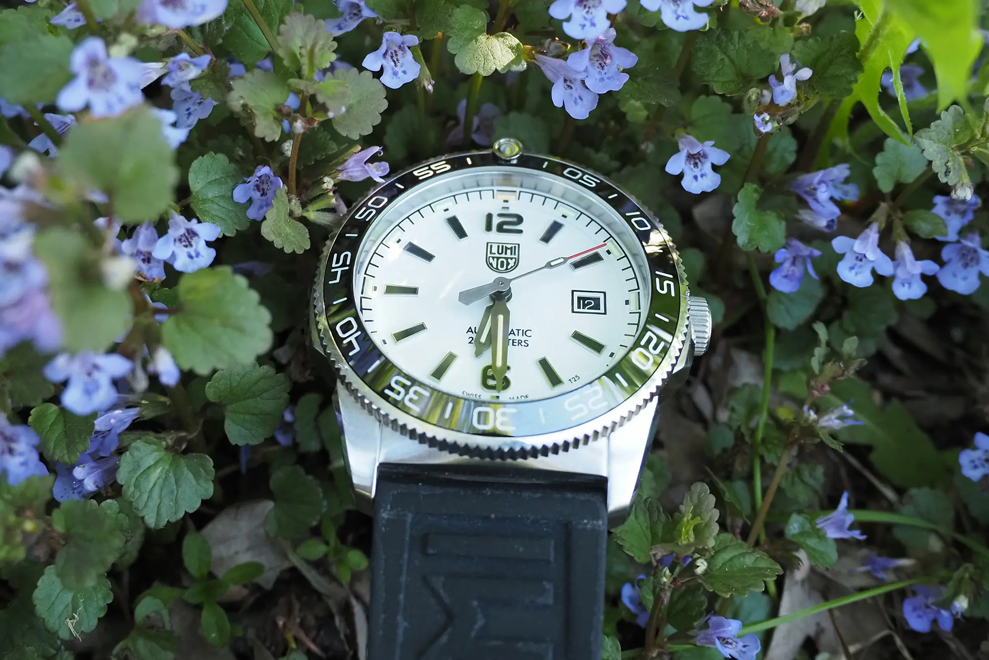 luminox midnight mariner watch in creeping charlie