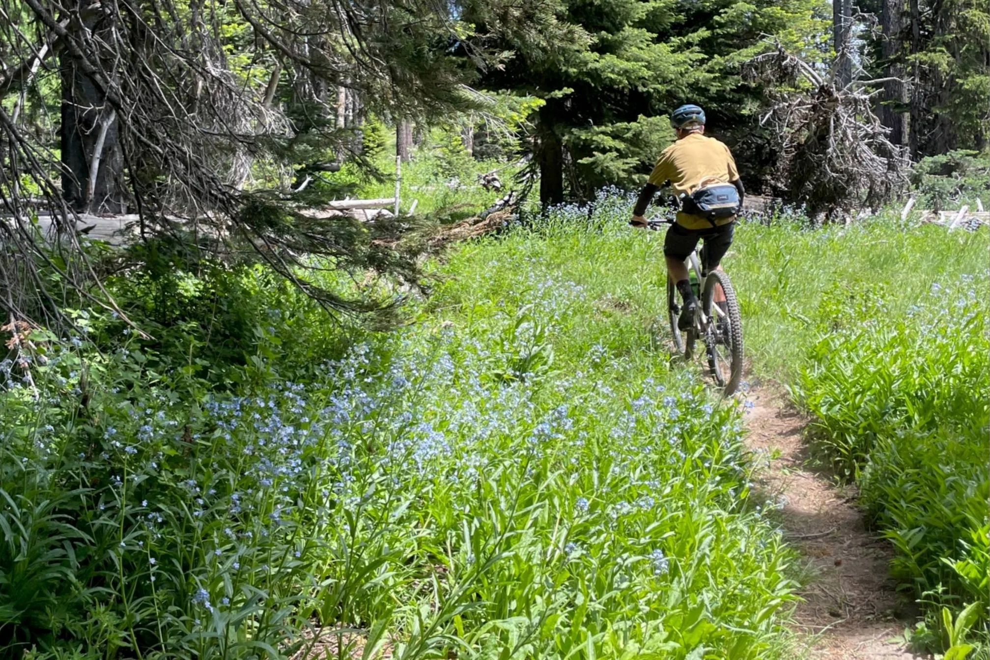 public lands sell off