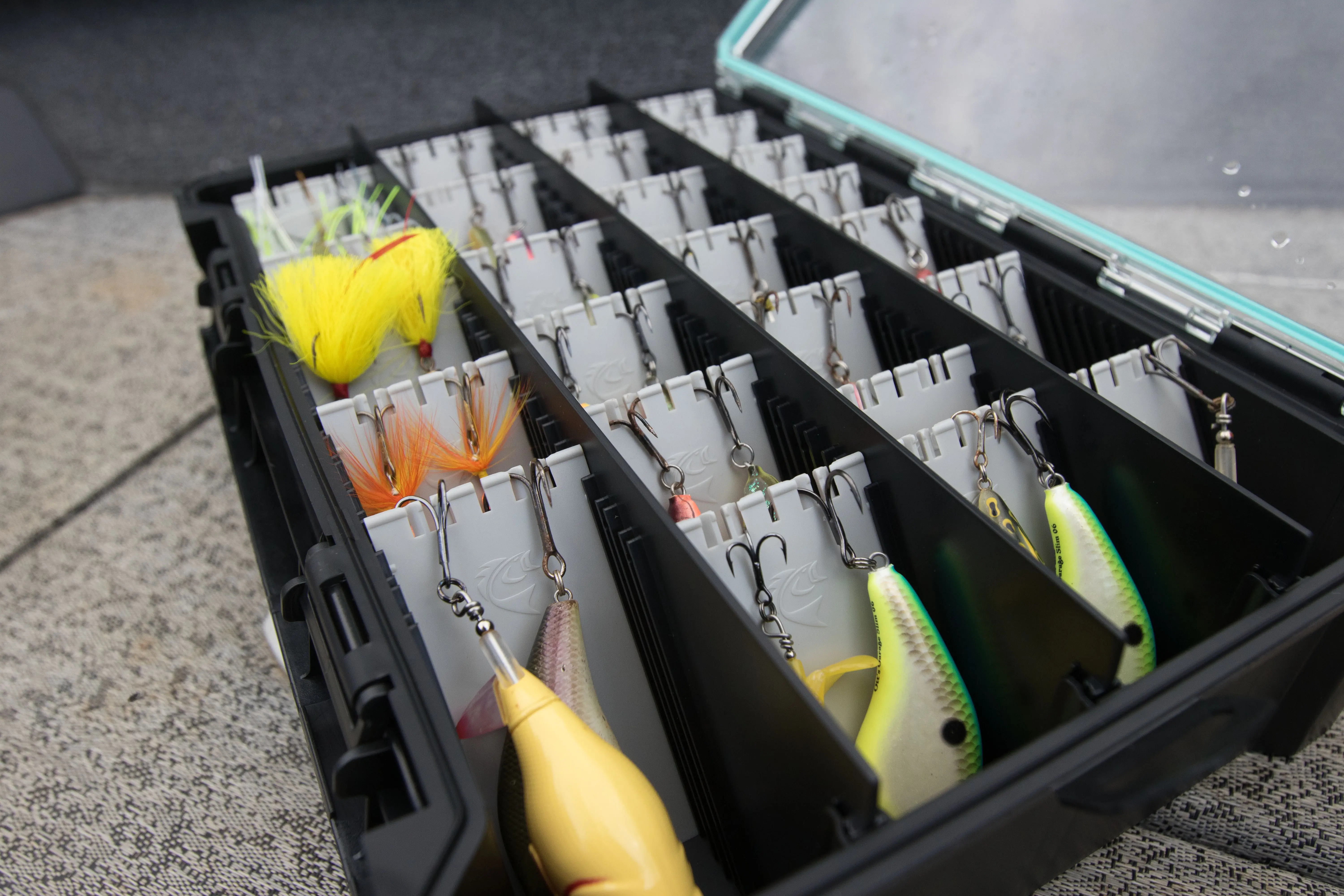 Fishing lures in a box